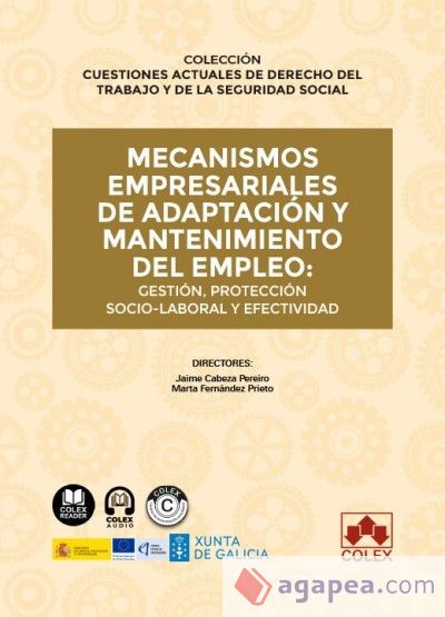 Mecanismos empresariales de adaptación y mantenimiento del empleo: gestión, protección socio-laboral y efectividad