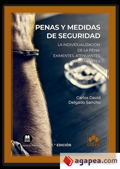 Penas y medidas de seguridad