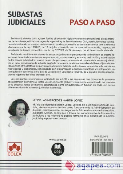 Subastas judiciales. Paso a paso: Guía pormenorizada del procedimiento de subastas