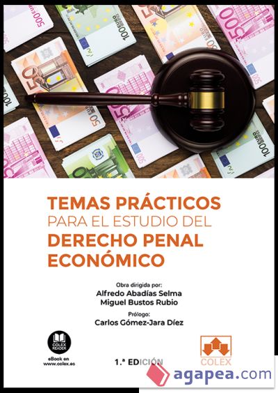 Temas prácticos para el estudio del derecho penal económico