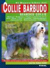 Collie barbudo.
