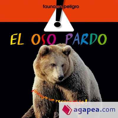 El oso pardo