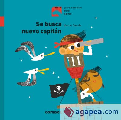 Se busca nuevo capitan (+5 años)