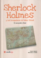 Portada de Sherlock Holmes y los Irregulares de Baker Street