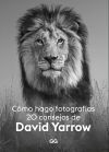 Cómo Hago Fotografías 20 Consejos De David Yarrow