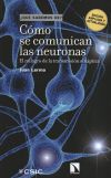 Cómo se comunican las neuronas