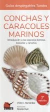 Conchas y caracoles marinos - Guias Desplegables Tundra