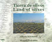 Portada de TIERRA DE OLIVOS/LAND OF OLIVES  D19A