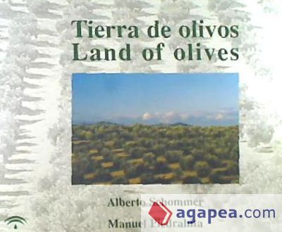 TIERRA DE OLIVOS/LAND OF OLIVES  D19A