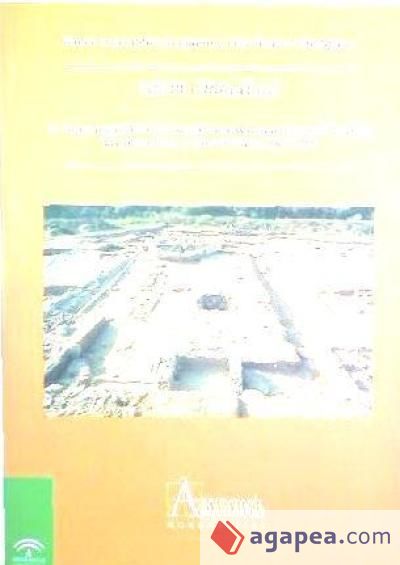 Celti (Peñaflor): la arqueología de una ciudad hispanorromana en la Baetica: prospecciones y excavaciones 1987-1992