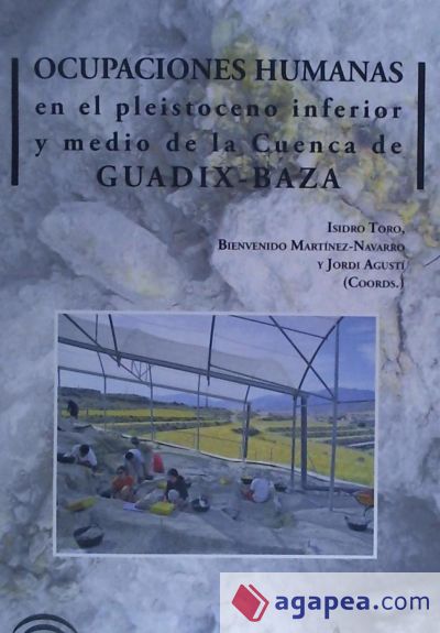 Ocupaciones humanas en el pleistoceno inferior y medio de la cuenca de Guadix-Baza