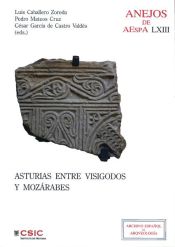 Portada de Asturias entre visigodos y mozárabes. (Visigodos y omeyas VI, Madrid 2010)