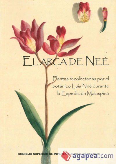 El Arca de Neé: plantas recolectadas por el botánico Luis Neé durante la Expedición Malaspina