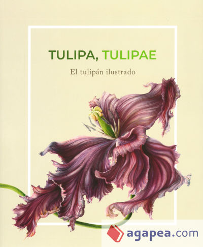 Tulipa tulipae: el tulipán ilustrado