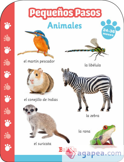 Pequeños pasos -ANIMALES 24-36 meses