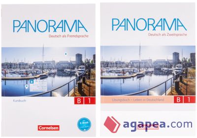 Panorama B1: Gesamtband - Kursbuch und Übungsbuch DaZ
