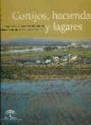 Cortijos, haciendas y lagares: provincia de Sevilla: arquitectura de las grandes explotaciones agrarias en Andalucía