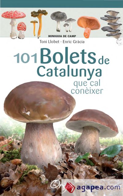 101 bolets de Catalunya . que cal conèixer