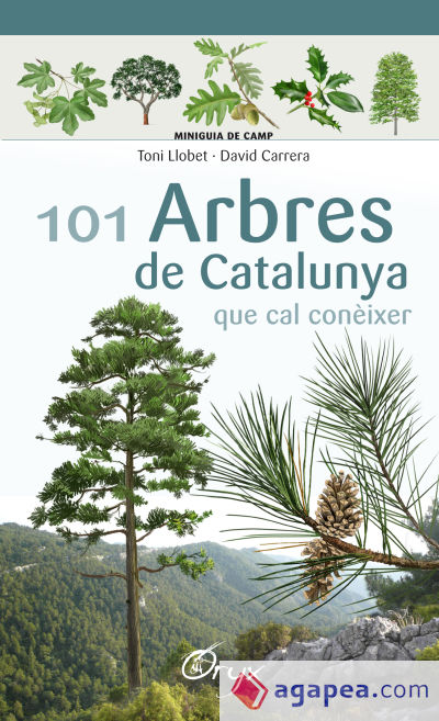 101 arbres de Catalunya . que cal conèixer