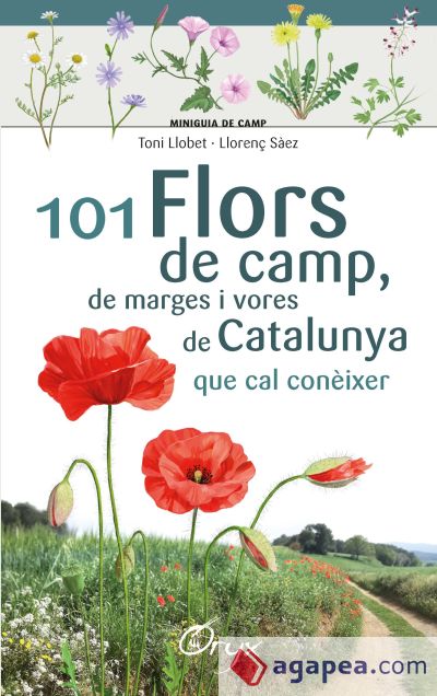 101 flors de camp, de marges i vores de Catalunya