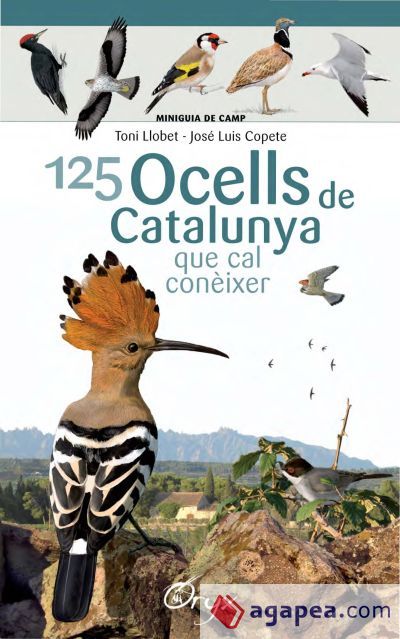 125 ocells de Catalunya . que cal conèixer 125 ocells de Catalunya . que cal conèixer
