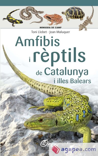 AMFIBIS I REPTILS DE CATALUNYA