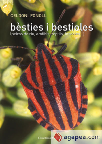 Bèsties i bestioles