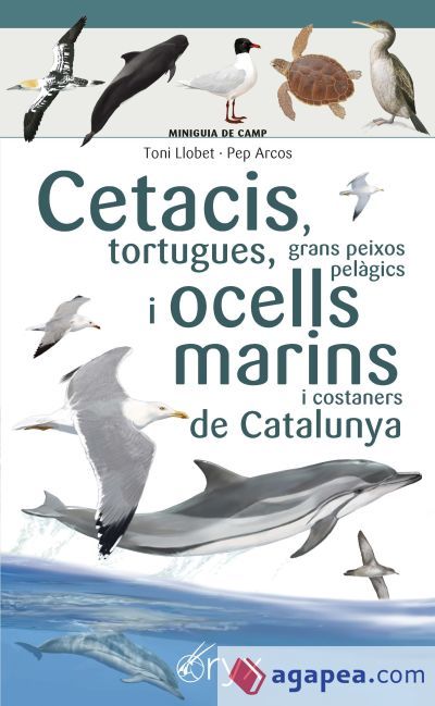 Cetacis, tortugues, grans peixos pelàgics i ocells marins de Catalunya Cetacis, tortugues, grans peixos pelàgics i ocells marins de Catalunya