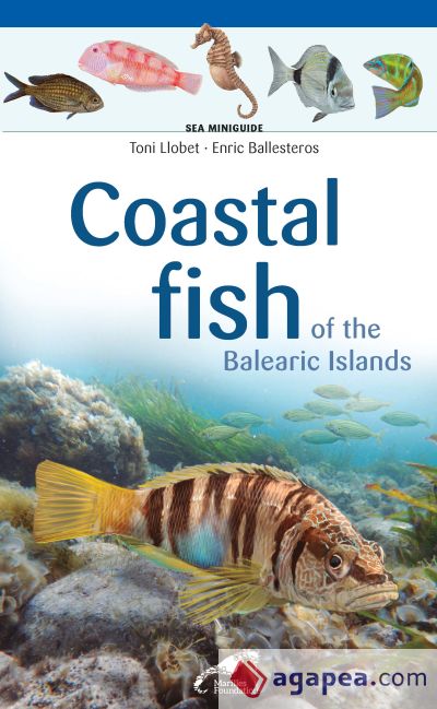 Coastal fish of the Balearic Islands