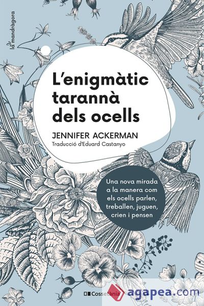 L'enigmàtic tarannà dels ocells