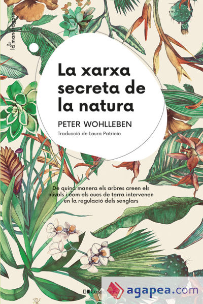 La xarxa secreta de la natura