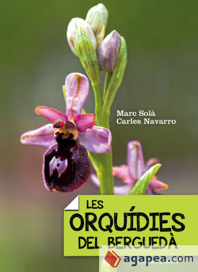 Les orquídies del Berguedà