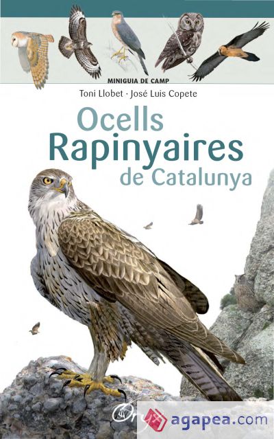 Ocells rapinyaires de Catalunya