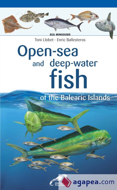 Open-sea and deep-water fish of the Balearic Islands