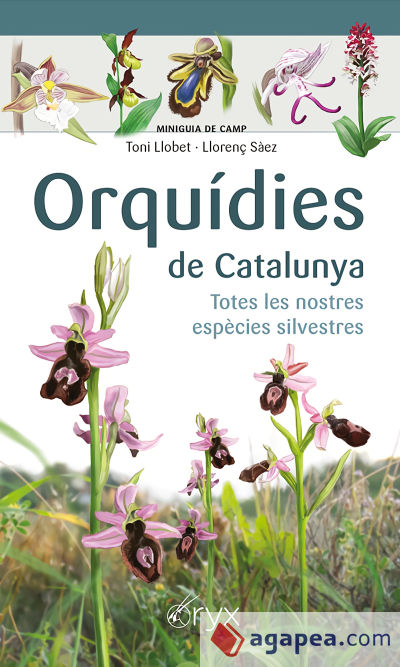 Orquídies de Catalunya