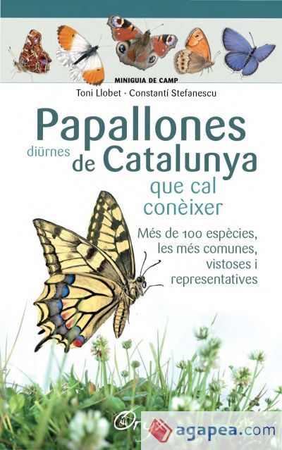 Papallones di&uuml;rnes de Catalunya . que cal con&egrave;ixer