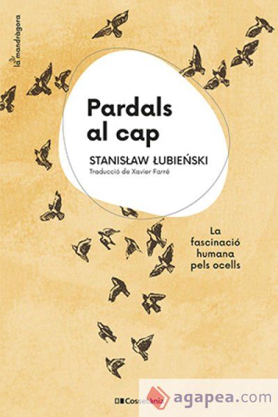 Pardals al cap Pardals al cap