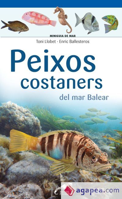 Peixos costaners del mar Balear Peixos costaners del mar Balear