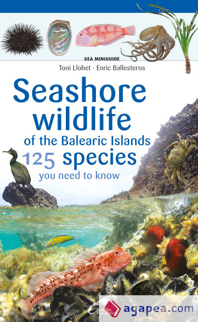 Seashore wildlife of the Balearic Islands