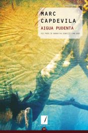 Portada de Aigüa Pudenta (Ebook)