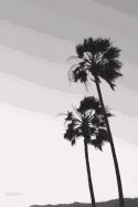 Portada de Journal: Black and White Palm Trees, Venice Beach, California, 150 Blank Sheets