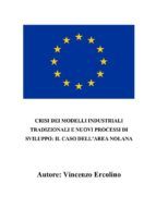 Portada de Crisi dei modelli industriali tradizionali e nuovi processi di sviluppo: il caso dell'area nolana (Ebook)