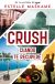 Portada de Crush 3. Cuando te recuperé, de Estelle Maskame