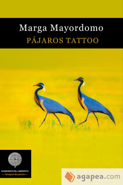 PÁJAROS TATTOO