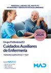 Cuidados Auxiliares de Enfermería (Grupo Profesional E2). Temario y test parte específica. Instituto de Mayores y Servicios Sociales -IMSERSO-