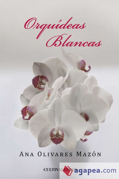 Orquídeas blancas