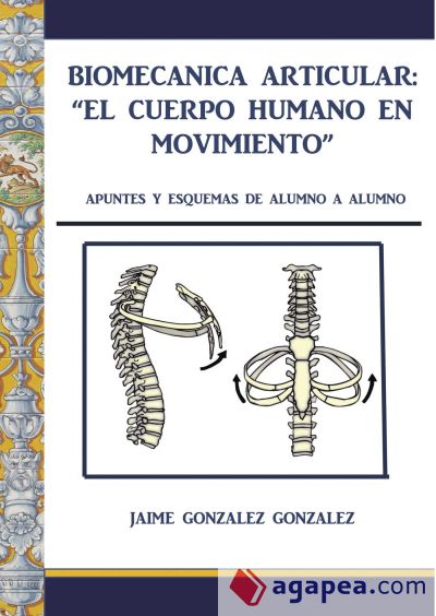 Biomecánica articular: el cuerpo humano en movimiento