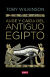 Portada de Auge y caída del antiguo Egipto, de Toby A. H. Wilkinson