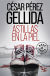 Portada de Astillas en la piel, de César Pérez Gellida