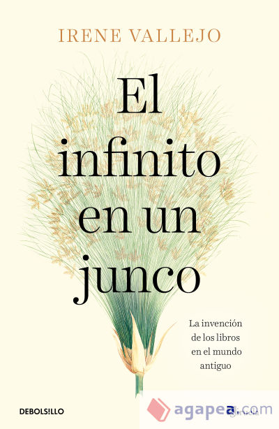 El infinito en un junco